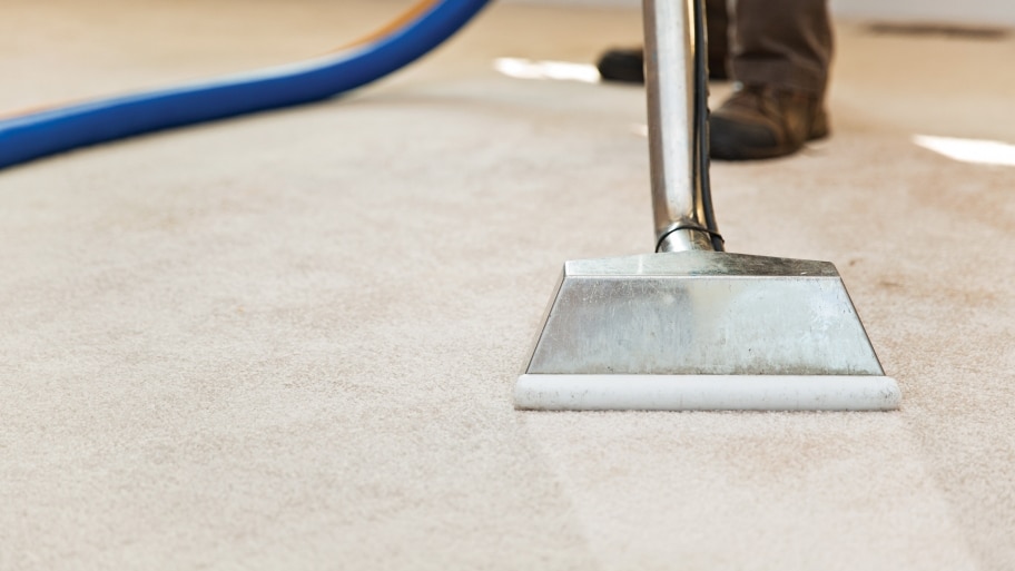 Premium Carpet Cleaning Services